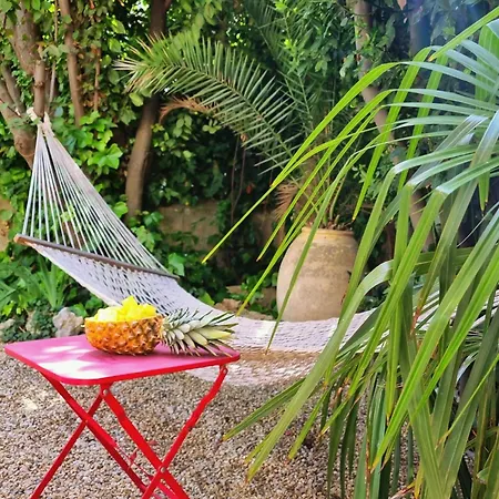 Holiday home La Maison Des Vendangeurs Olonzac